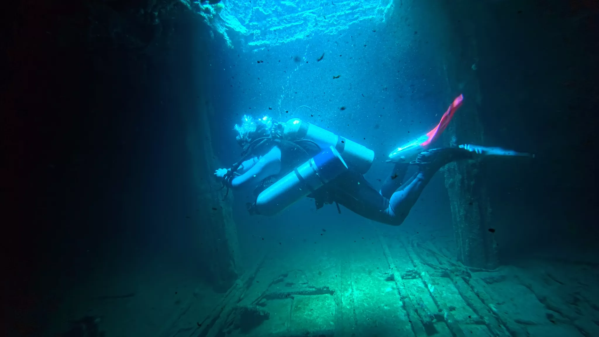 Divemaster, Tauch Ab