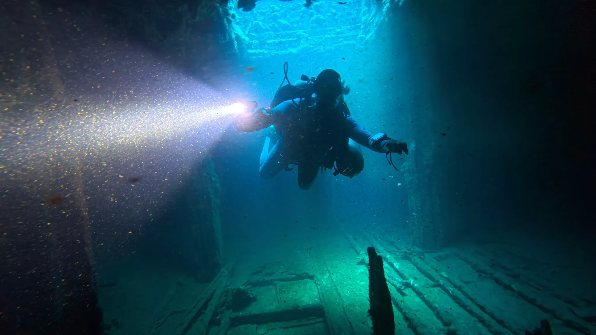 Divemaster, Tauch Ab
