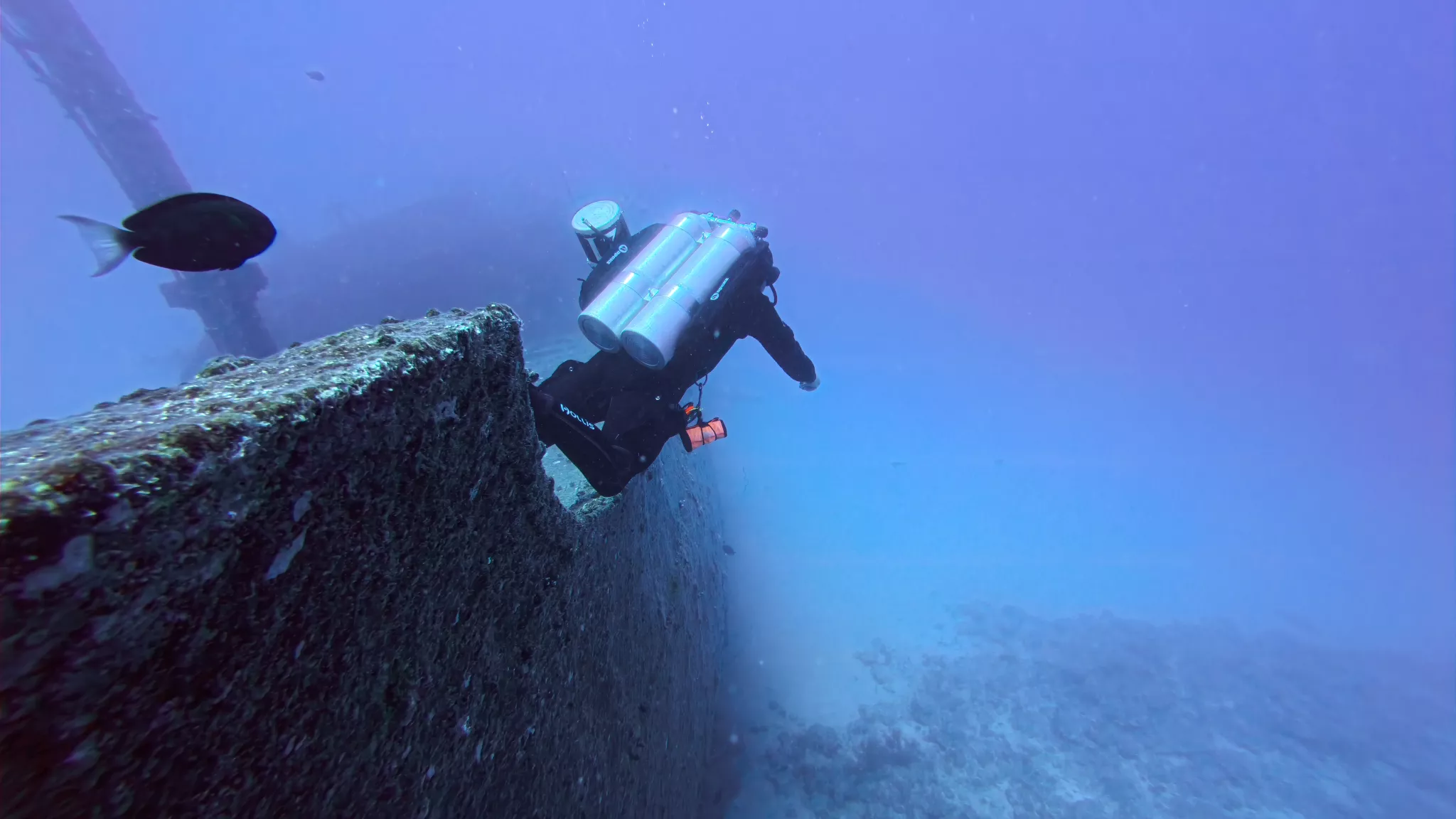 Divemaster, Tauch Ab
